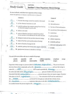 a paper with the words study guide written in blue ink on it, and an image of