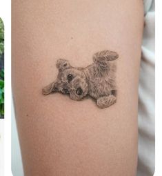 two pictures one with a small dog and the other has a tattoo on it's arm