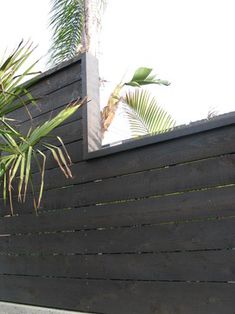 there is a mirror on the side of a building next to a palm tree in front of it