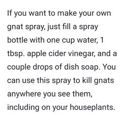 a poem that reads if you want to make your own gnat spray just fill a spray bottle with one cup water, 1 tsp apple cider vinegar and a couple drops of dish soap