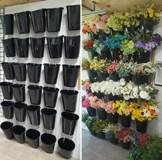 there are many different types of flowers on the wall and in pots next to each other