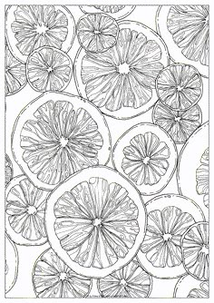 a drawing of orange slices on a white background