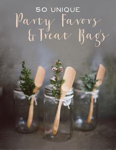 three mason jars with wooden utensils in them and the words party favors & treat bags