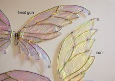 three different types of butterfly wings are shown