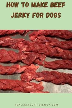 how to make beef jervy for dogs with text overlay that reads, how to make beef jervy for dogs