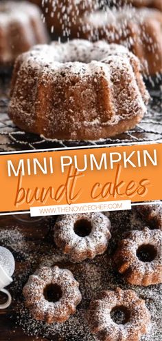 mini pumpkin bundt cakes with powdered sugar sprinkled on top and below