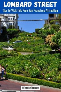 people walking down the street in front of a lush green hillside with trees and bushes