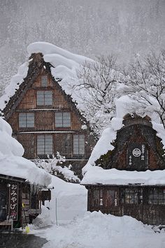 snow covered houses and trees in the background