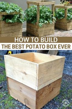 how to build the best potato box planter for your garden or yard in less than 10 minutes