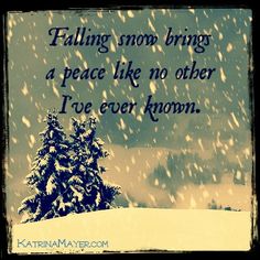 a snowy scene with trees and the words falling snow brings a peace like no other i've ever known