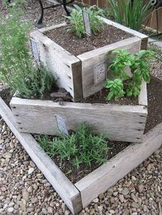 three wooden boxes with plants growing in them