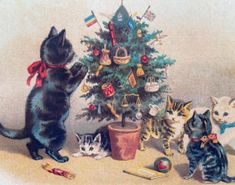 three cats standing around a christmas tree with presents on the ground and one cat looking up