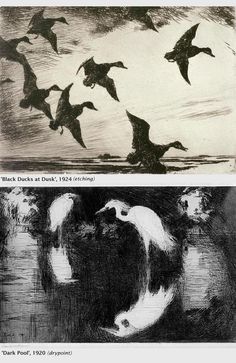 two black and white drawings of birds flying over water