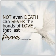 Not Even Death Can Sever The Bonds Of Love That Last Forever. | all-greatquotes.com #GriefVerse Loving Memory, Love You Forever, In Loving Memory, True Quotes, Just Love, Favorite Quotes