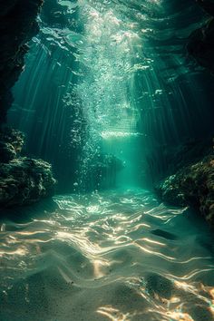 an underwater scene with sunlight streaming through the water