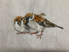 two small birds sitting on top of each other