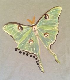 a drawing of a green butterfly on a white t - shirt with black dots around it's wings