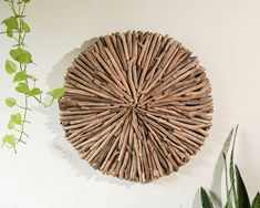 a wall decoration made out of sticks and leaves on a white wall next to a potted plant