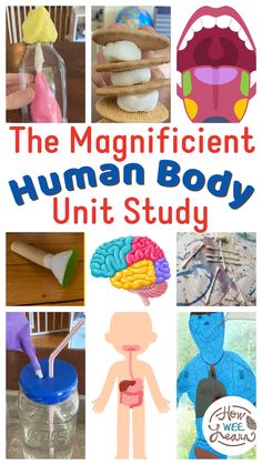 the magnificent human body unit study with pictures and text overlaying it's image