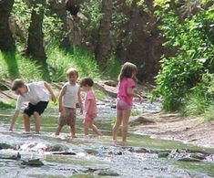 four children are playing in the water near some rocks and trees, while one child is holding his hand out