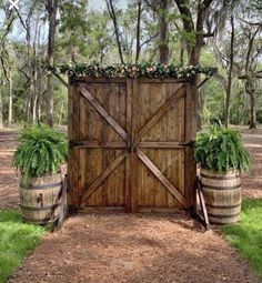 a wooden gate surrounded by two barrels with plants growing out of the top and bottom