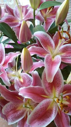 pink flowers with green leaves in a vase