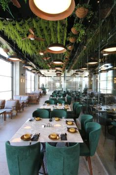 an empty restaurant with green velvet chairs and plants hanging from the ceiling, along with white tablecloths