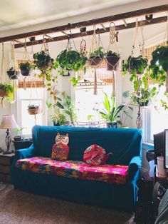 a living room filled with lots of plants and hanging planters on the wall above the couch