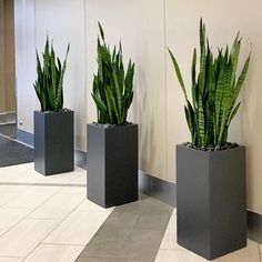 three black planters with green plants in them on the floor next to a wall