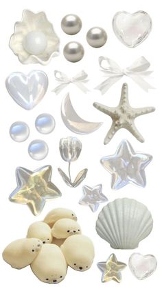 various sea shells and starfishs on a white background