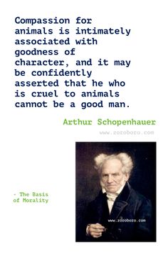 an image of the quote from thomas schoenhauer about animals and humans