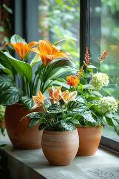 three potted plants sit on a window sill in front of a large window