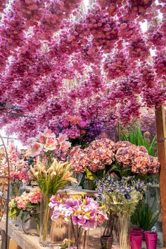 many different types of flowers in vases on display