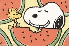 a drawing of a dog eating a watermelon