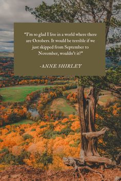 an old tree in the middle of a forest with a quote from anne shirlet on it