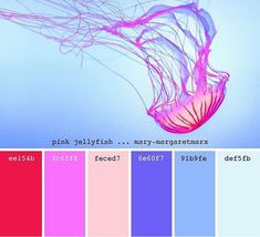 an image of a jellyfish in the water with color swatches to match it's colors