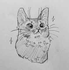 a drawing of a cat with big eyes