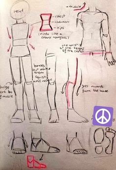 a drawing of different types of clothes and shoes