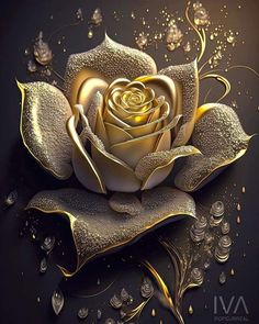 a golden rose on a black background with gold leaves and water droplets around the petals