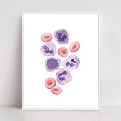 an art print with donuts in pink and purple