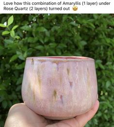 someone holding up a pink bowl in front of some bushes and trees with the words love how this combination of amaryllis layer under rose quartz 2 layers turned out