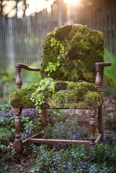 an old chair with moss growing on it in the middle of some flowers and plants