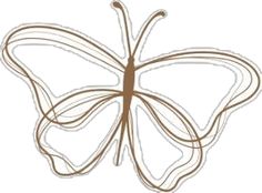 a drawing of a butterfly with lines on it's wings and the back end of its wing