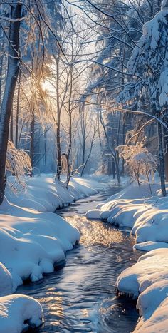 a stream running through a snow covered forest