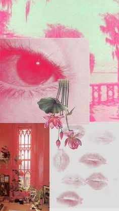 pink and green collage with an eye in the middle, flowers on the bottom