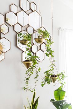 several mirrors hanging on the wall with plants in them