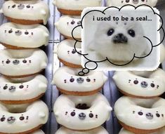 a bunch of doughnuts with a thought bubble above them that says i used to be a seal