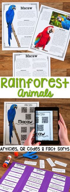 the rainforest animals and other activities for kids to use on their ipads, tablet or phone