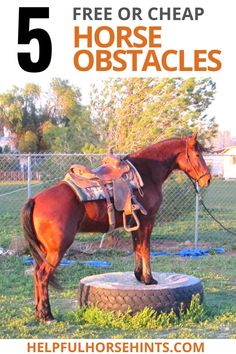 a brown horse standing on top of a lush green field