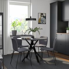 a dining room table with four chairs and a plant in the corner next to it